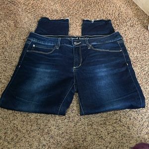 Articles of Society Denim Jeans